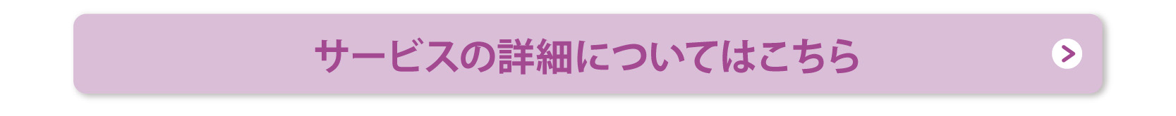 サービス概要